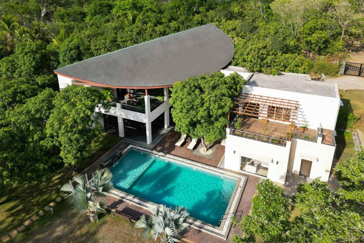 The Leaf By Stayvista - An Enchanting Escape Offering A Pool, Terrace, Lush Lawn, Contemporary Interiors, And Indoor Games Alībāg Esterno foto